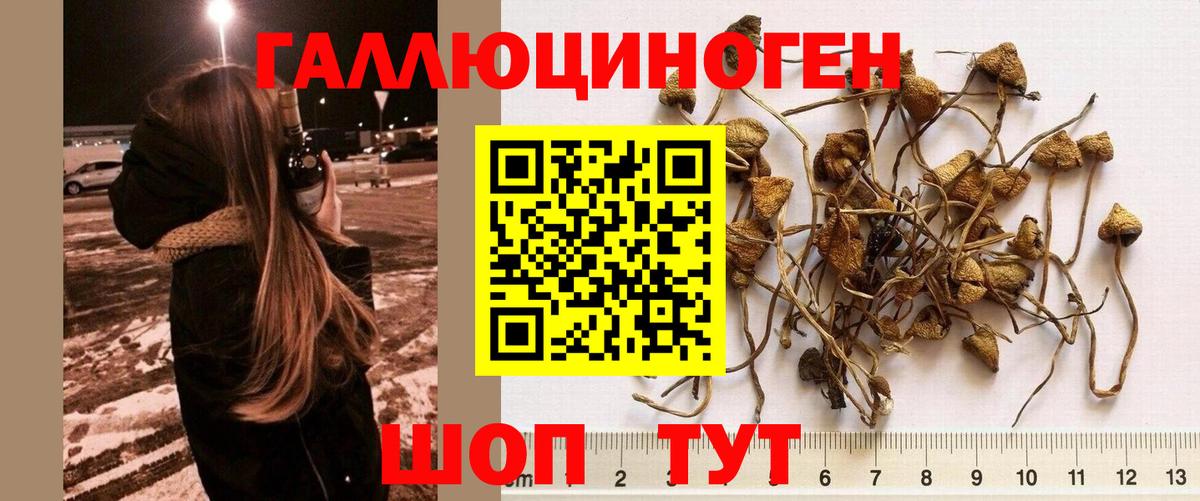 Псилоцибиновые грибы ЛСД  Вход с VPN  Галлюциногенные грибы мицелий  Свободный 